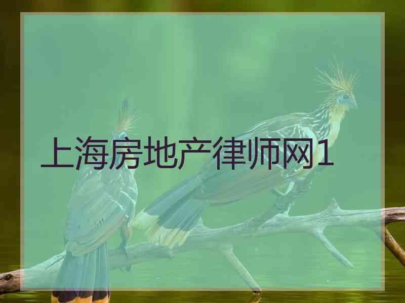 上海房地产律师网1