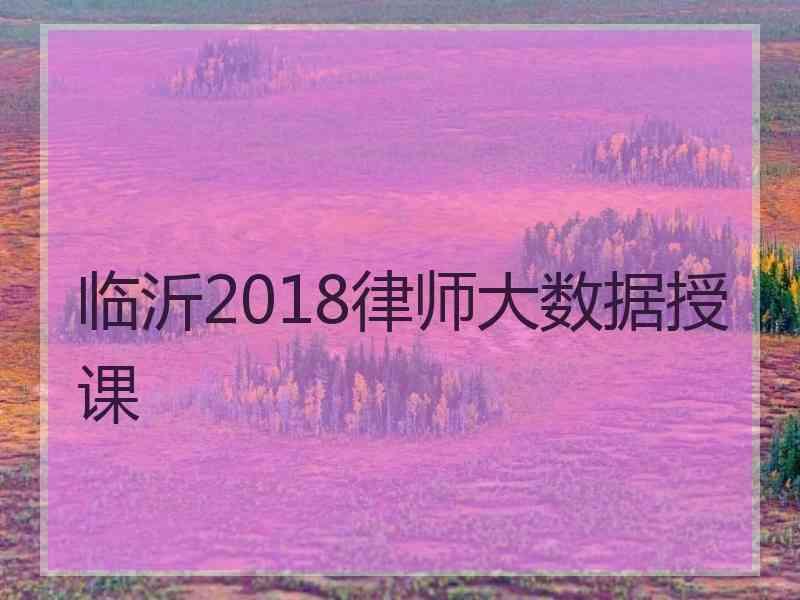 临沂2018律师大数据授课