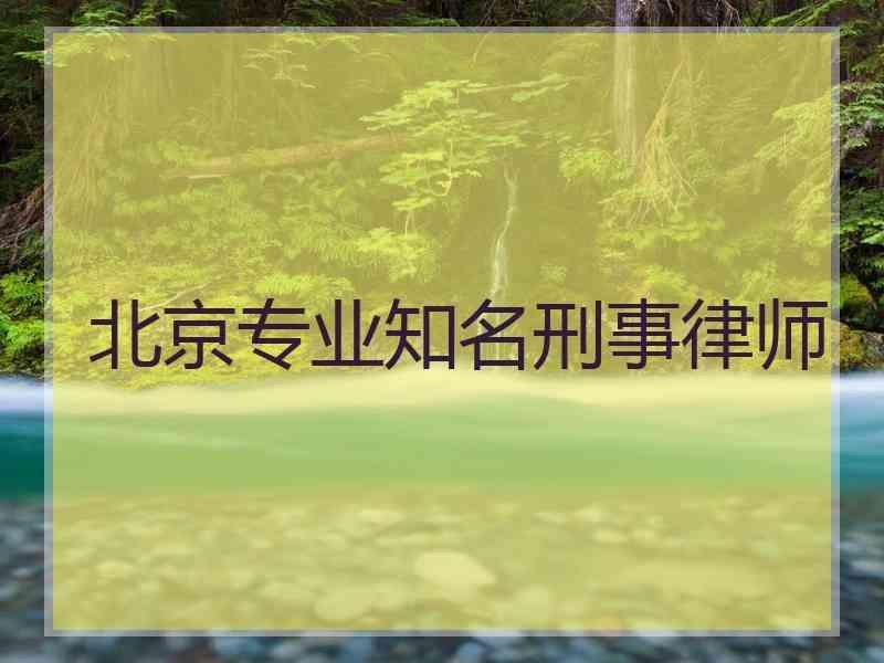 北京专业知名刑事律师