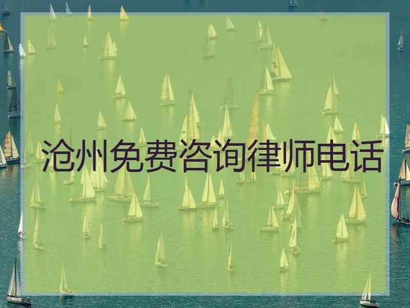 沧州免费咨询律师电话