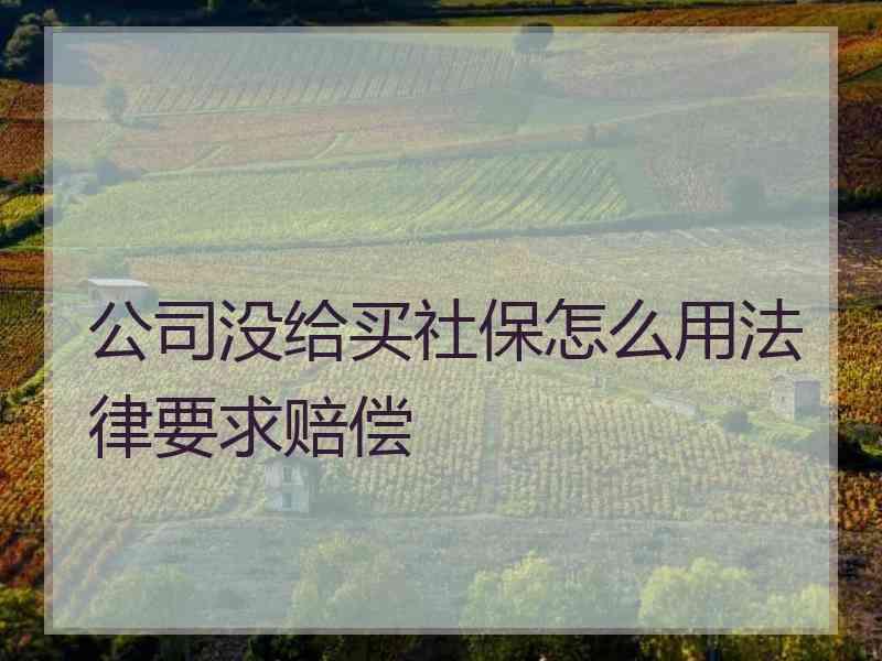 公司没给买社保怎么用法律要求赔偿