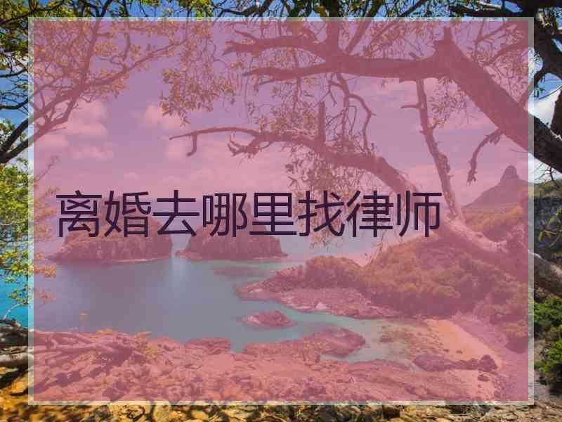 离婚去哪里找律师