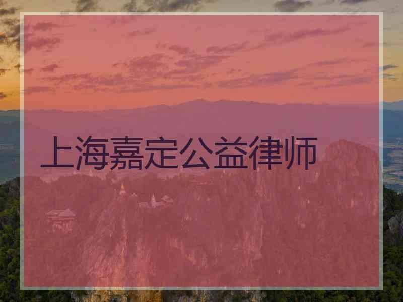 上海嘉定公益律师