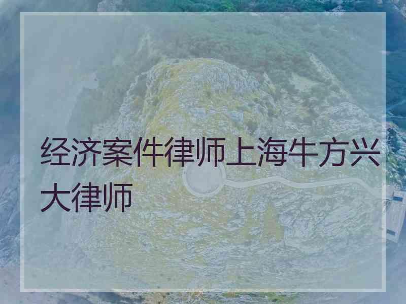 经济案件律师上海牛方兴大律师