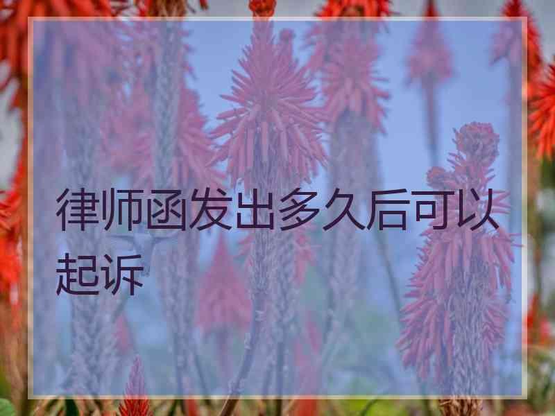 律师函发出多久后可以起诉