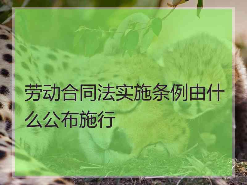 劳动合同法实施条例由什么公布施行