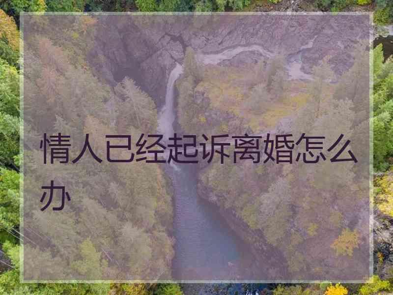 情人已经起诉离婚怎么办