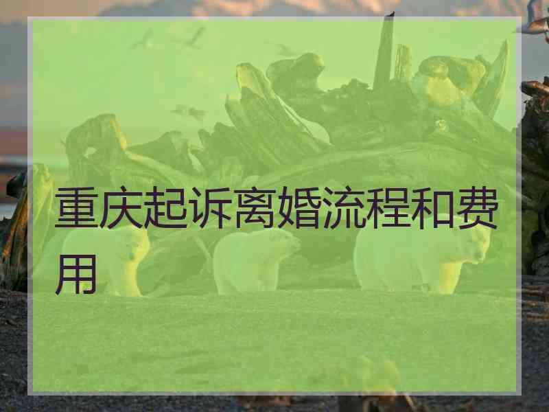 重庆起诉离婚流程和费用