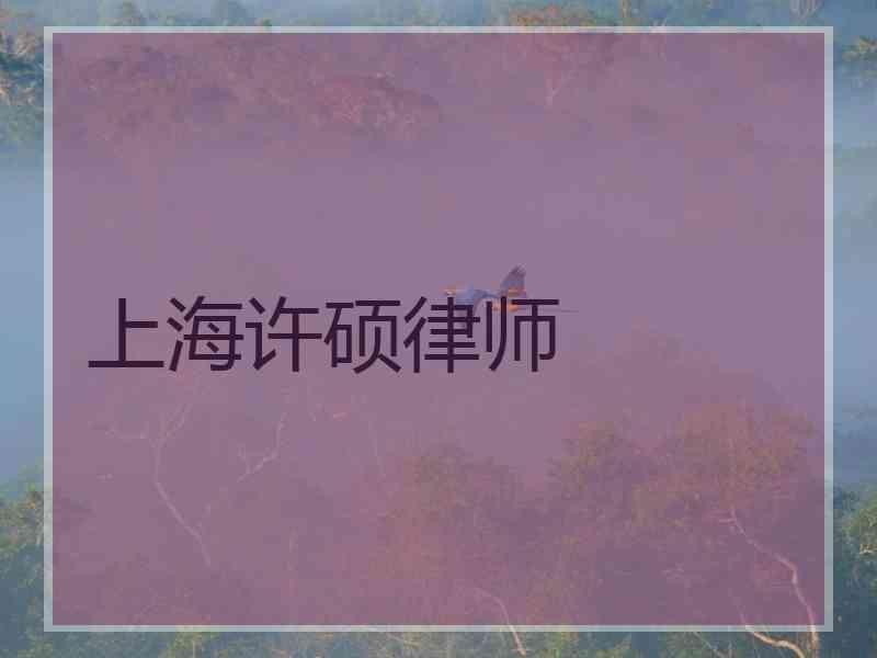 上海许硕律师