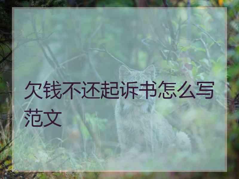 欠钱不还起诉书怎么写范文