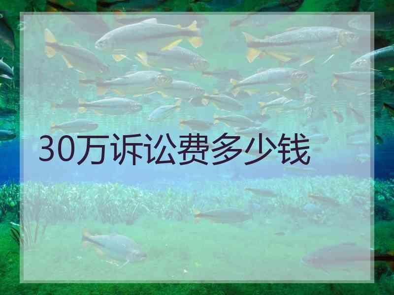 30万诉讼费多少钱