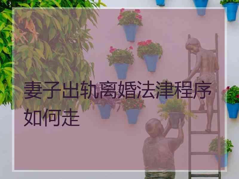 妻子出轨离婚法津程序如何走