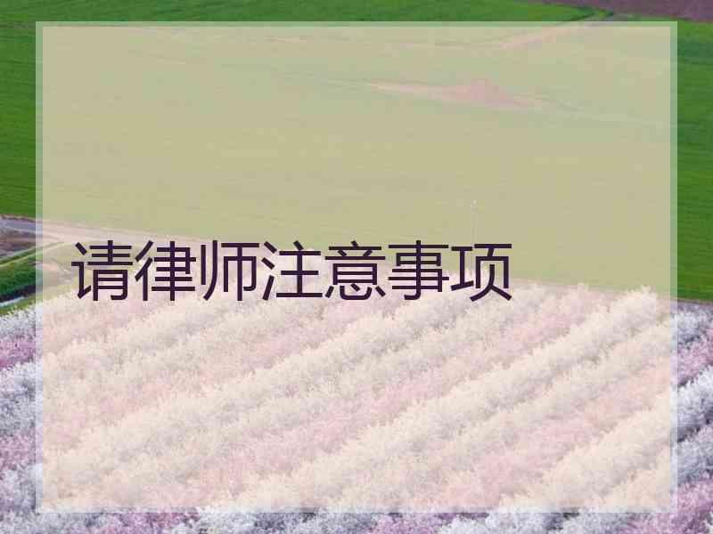 请律师注意事项