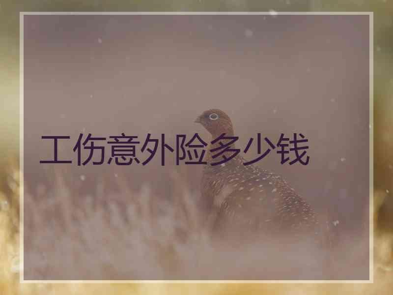工伤意外险多少钱