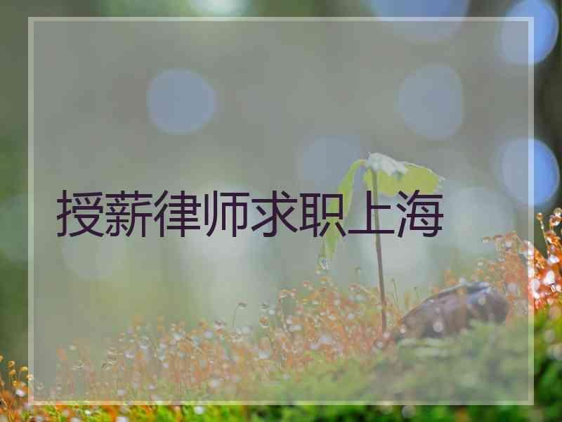 授薪律师求职上海