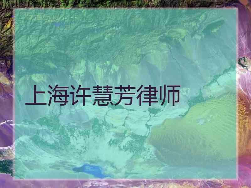 上海许慧芳律师