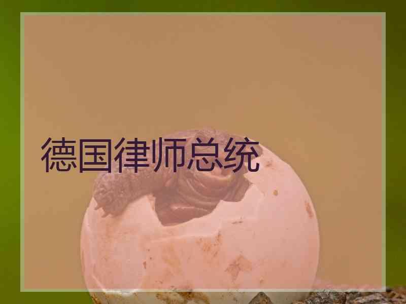德国律师总统