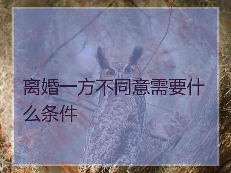 离婚一方不同意需要什么条件