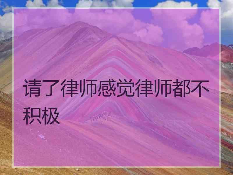 请了律师感觉律师都不积极