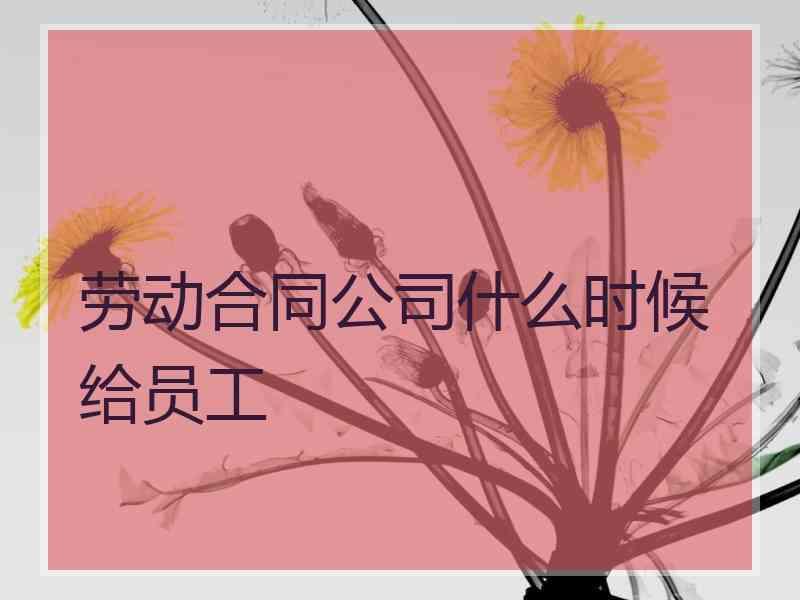 劳动合同公司什么时候给员工