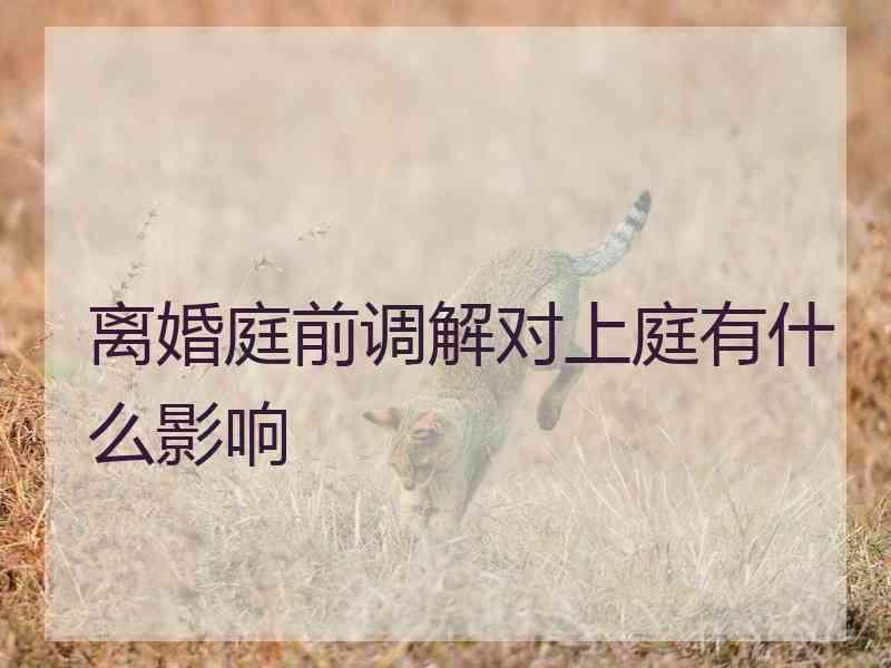 离婚庭前调解对上庭有什么影响