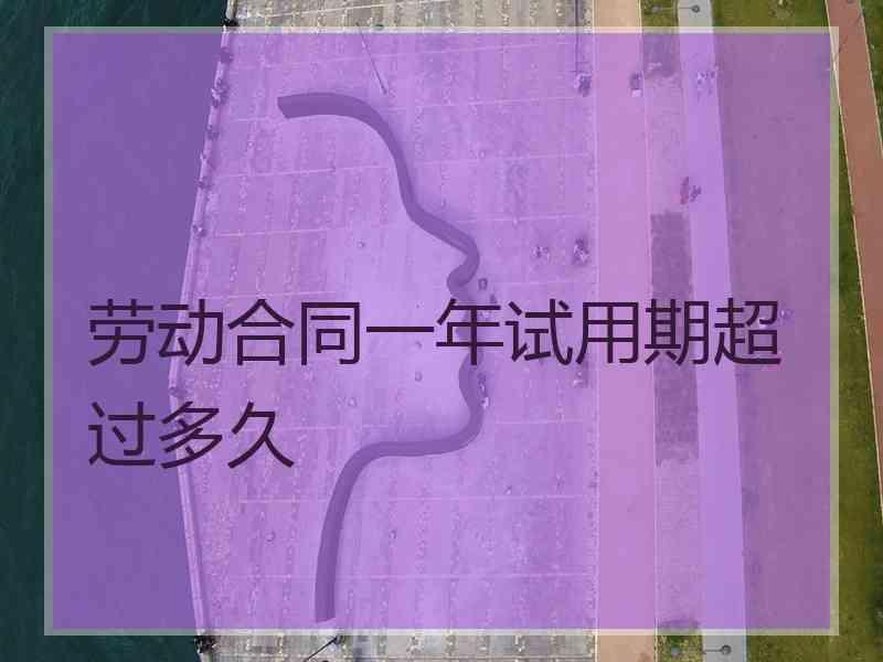 劳动合同一年试用期超过多久