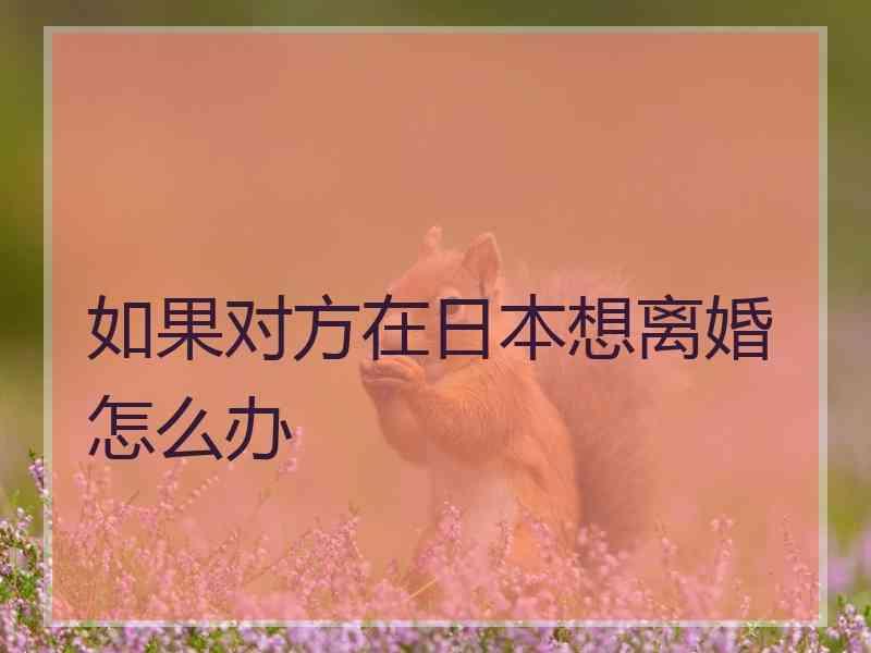 如果对方在日本想离婚怎么办