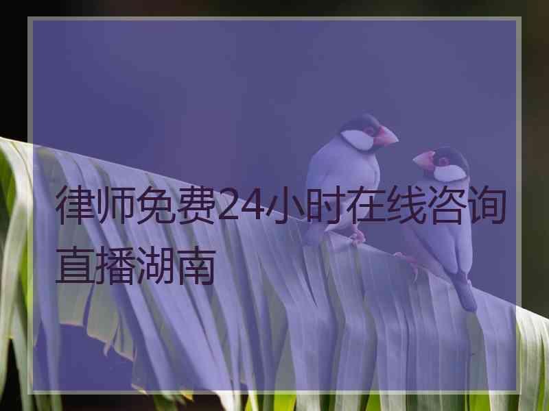 律师免费24小时在线咨询直播湖南