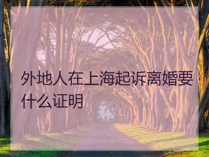 外地人在上海起诉离婚要什么证明