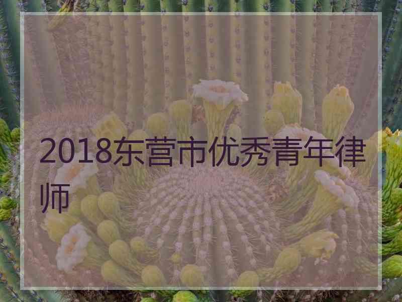 2018东营市优秀青年律师