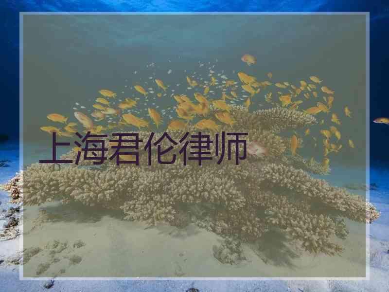 上海君伦律师
