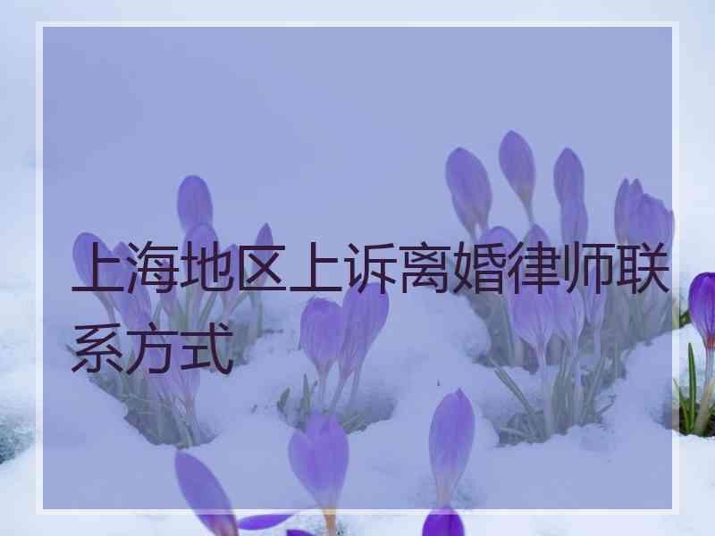 上海地区上诉离婚律师联系方式