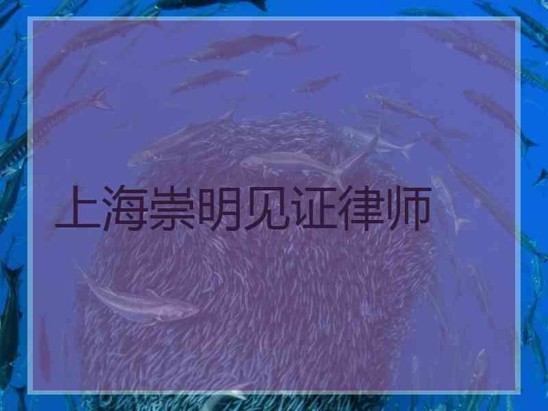 上海崇明见证律师