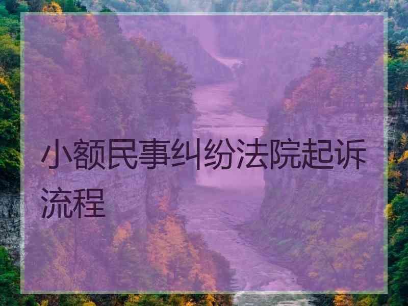 小额民事纠纷法院起诉流程