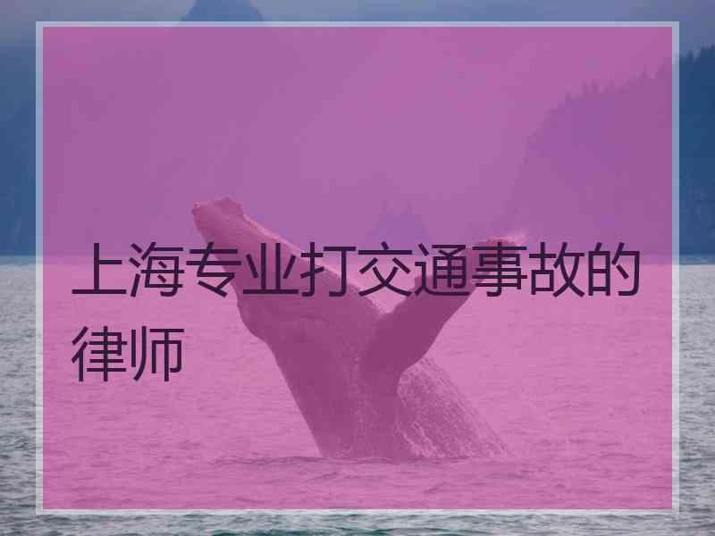 上海专业打交通事故的律师