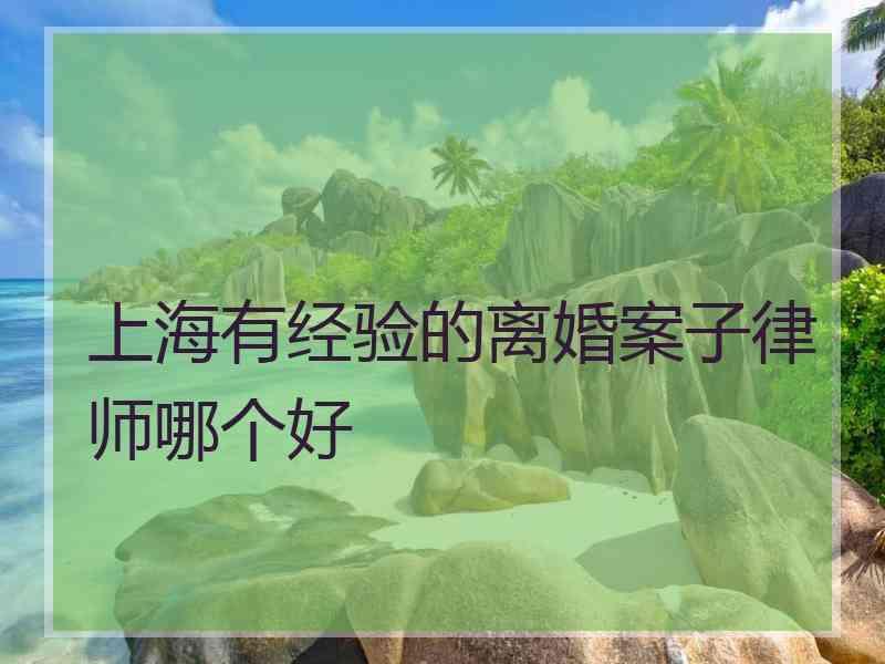 上海有经验的离婚案子律师哪个好