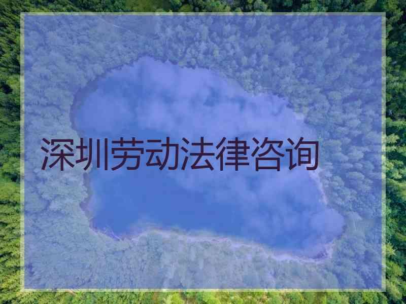 深圳劳动法律咨询