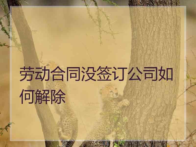 劳动合同没签订公司如何解除