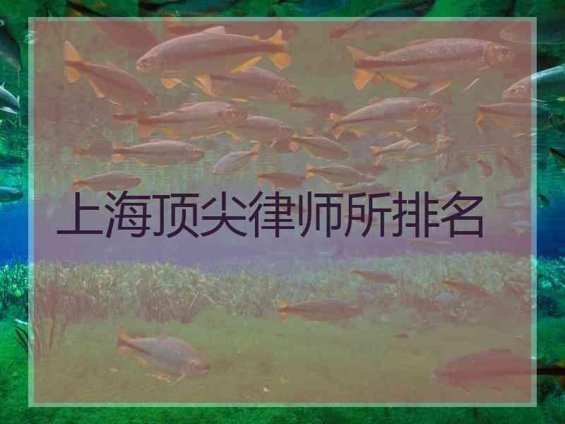 上海顶尖律师所排名