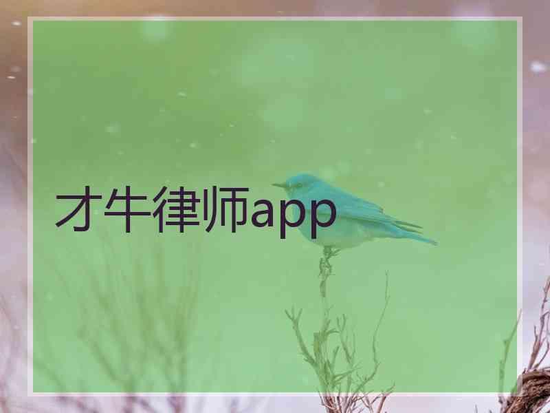 才牛律师app