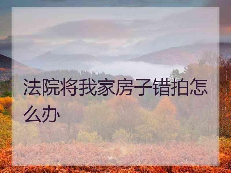 法院将我家房子错拍怎么办