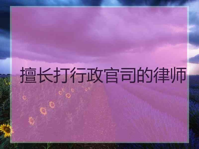 擅长打行政官司的律师