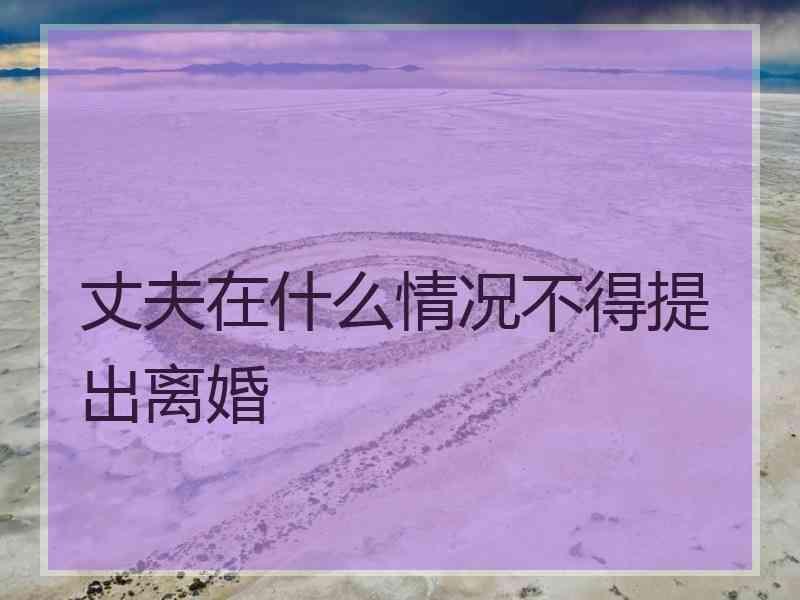 丈夫在什么情况不得提出离婚