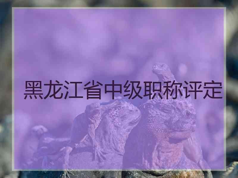 黑龙江省中级职称评定