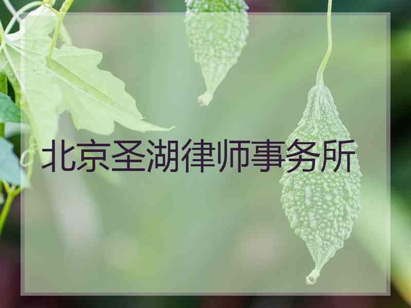 北京圣湖律师事务所