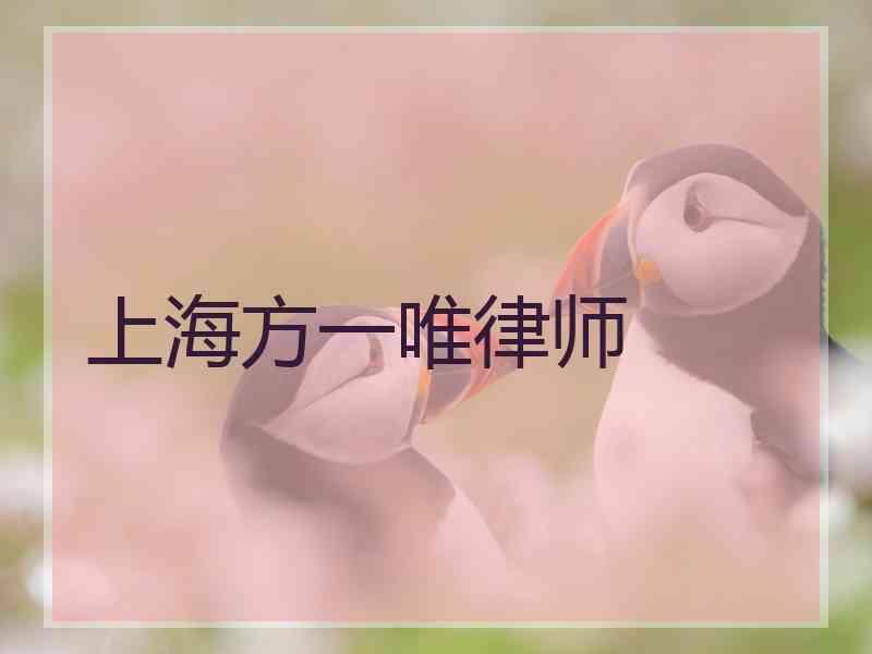 上海方一唯律师