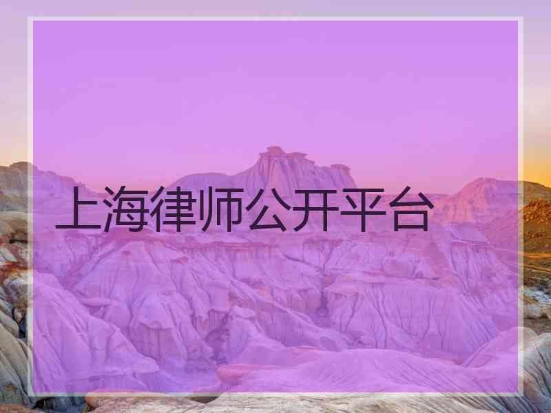 上海律师公开平台