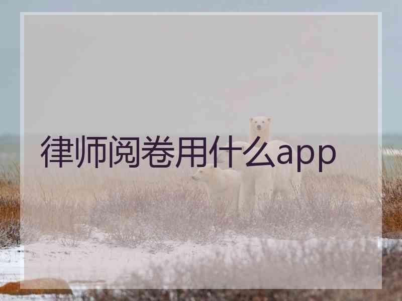 律师阅卷用什么app