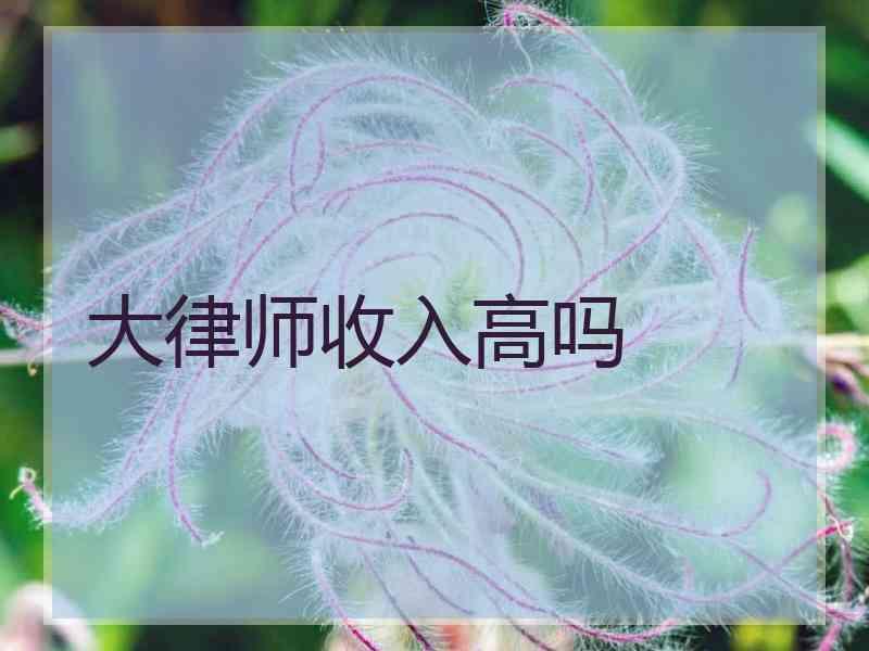 大律师收入高吗