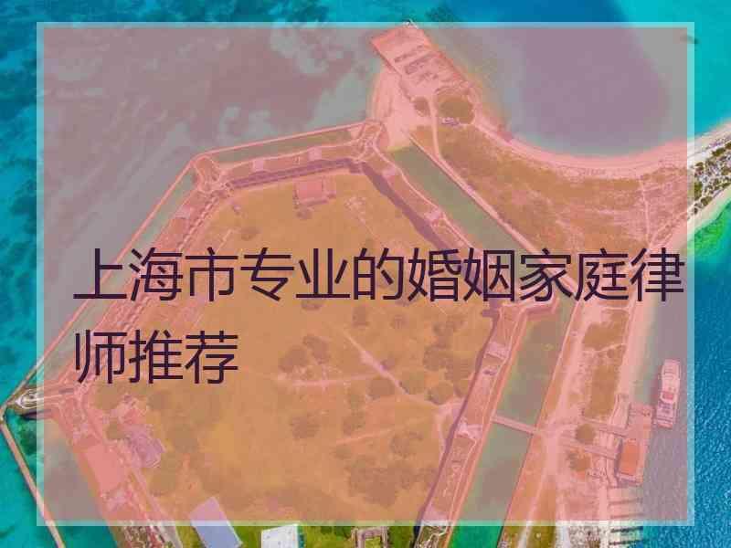 上海市专业的婚姻家庭律师推荐